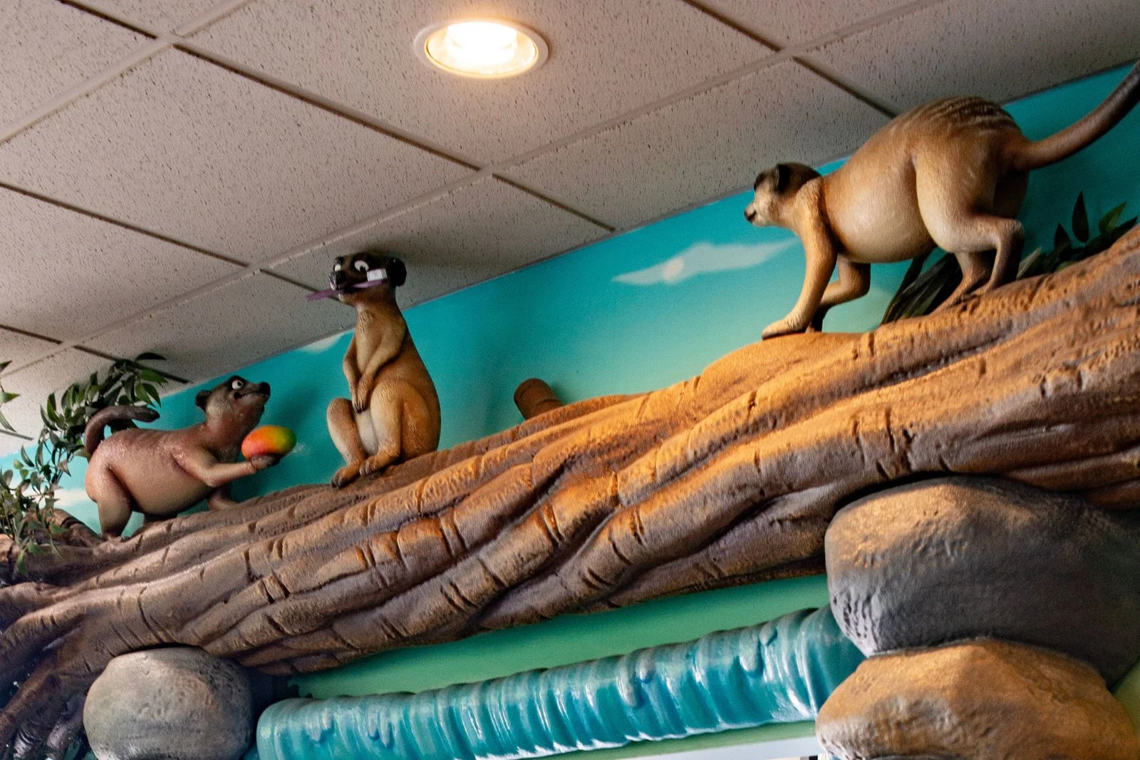 Welcoming front desk at Just Kids Dental Dallas